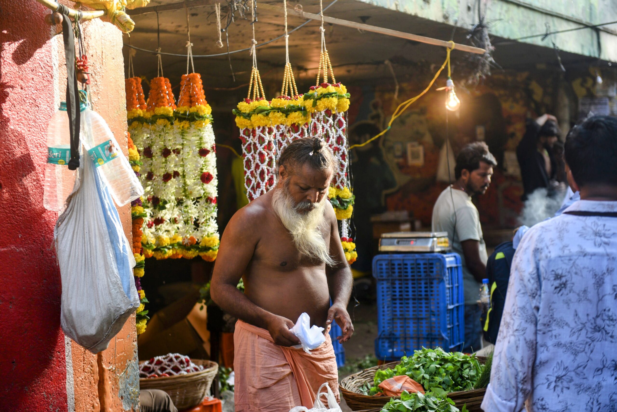 BBB 7303 EDIT scaled