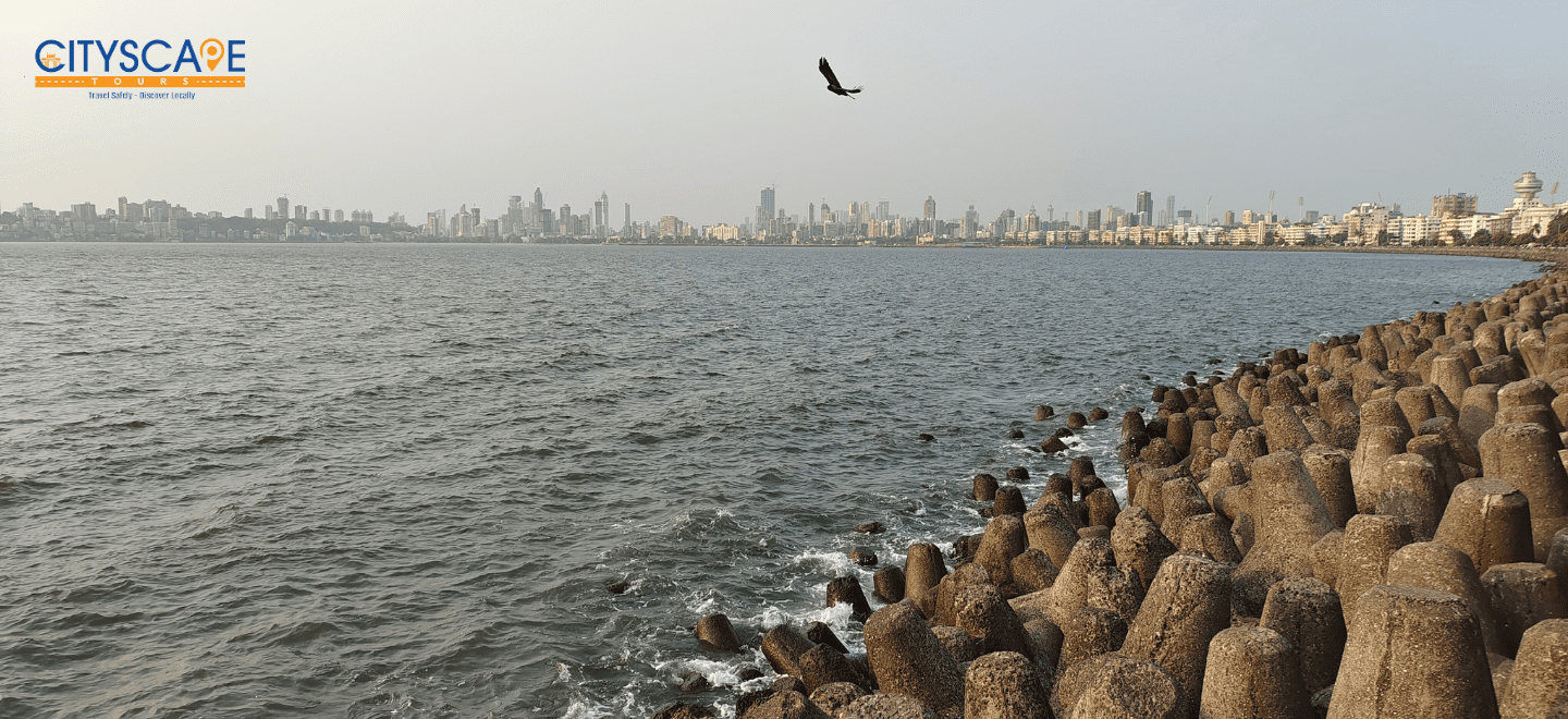 marine drive tours