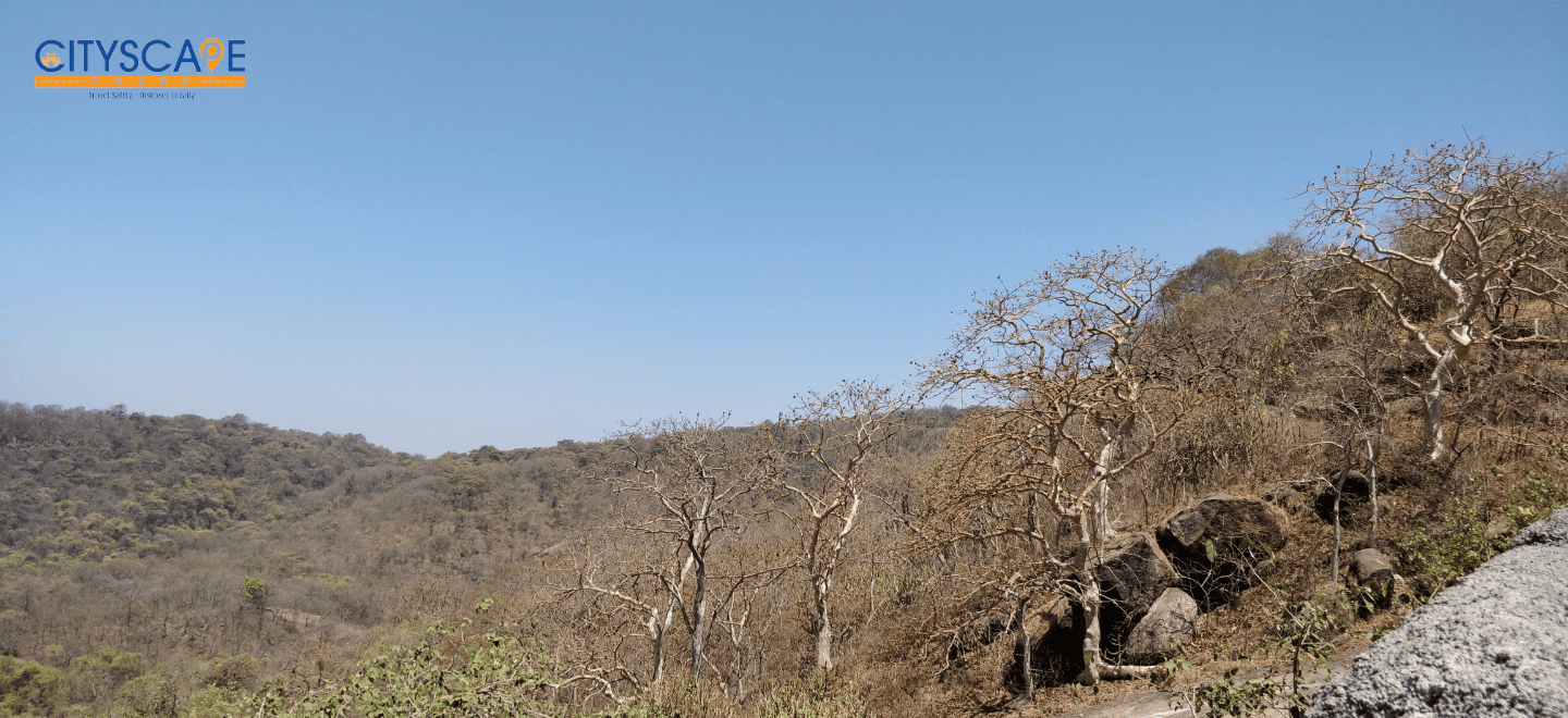 sanjay gandhi national park