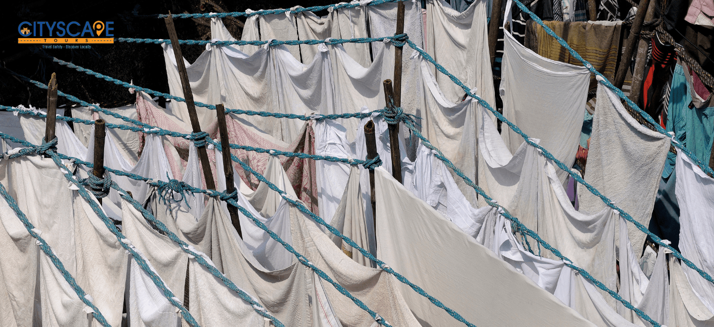 Meeting the Dhobis_ Understanding Their Skill and Precision