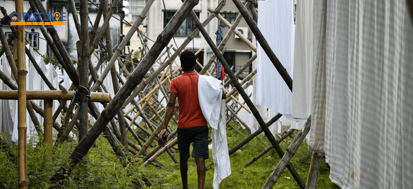 The First Look_ Rows of Wash Pens and Bustling Activity