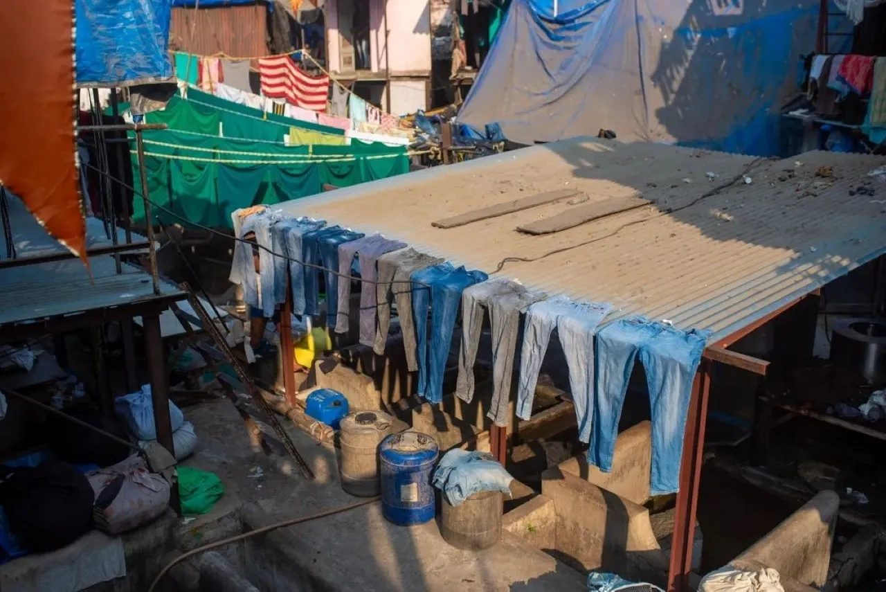 Jeans lined up perfectly along a corrugated shed roof - one of hundreds of small details you notice when you walk through Dhobi Ghat with a local guide rather than watching from the deck above.
