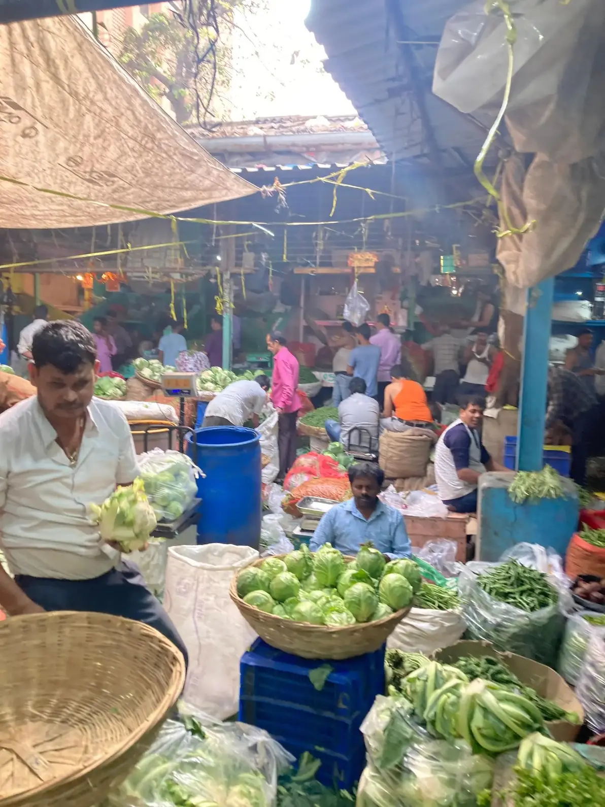 Vendors sorting fresh cabbage at Dadar Vegetable Market