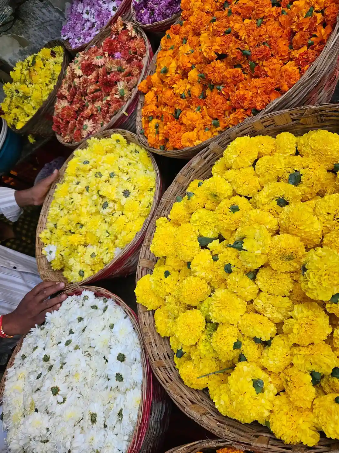 Baskets of fresh marigolds at Dadar Flower Market
