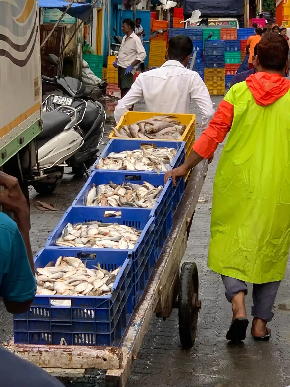 Crates of freshly caught fish being unloaded at Sassoon Dock during Cityscape Mumbai's morning market tour
