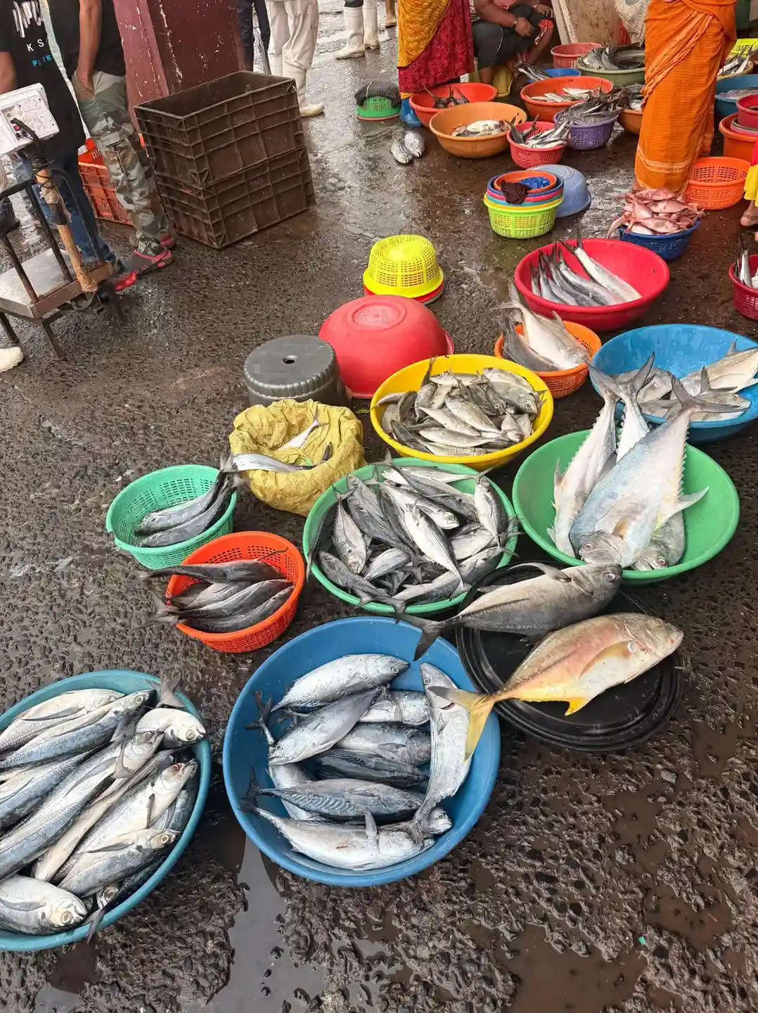 Sorting the morning's catch at Sassoon Dock