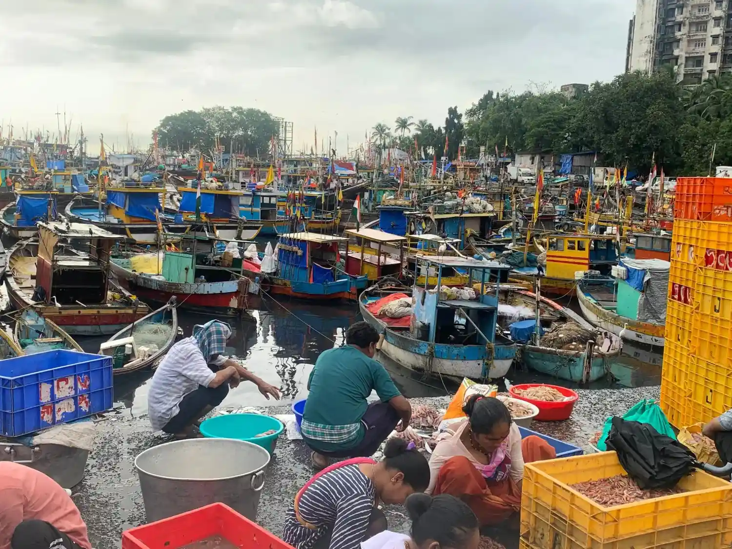 Fishermen sorting the catch beside docked boats at Sassoon Dock.
